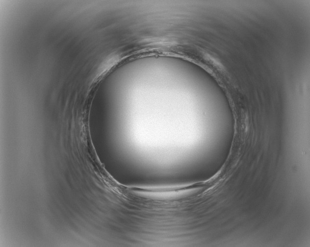 X0000052561354200507152215