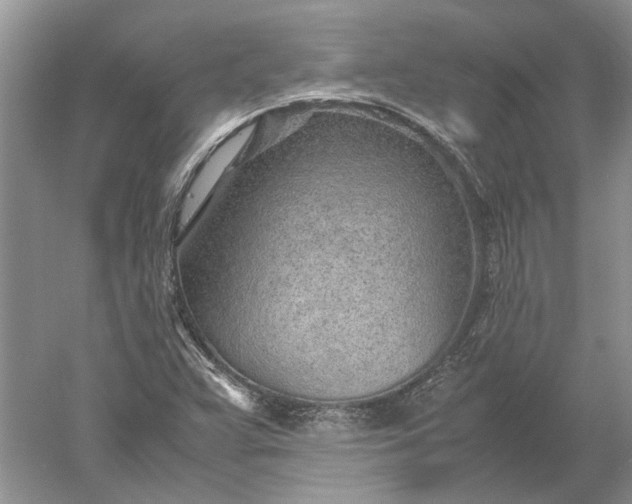 X0000052561359200507152215