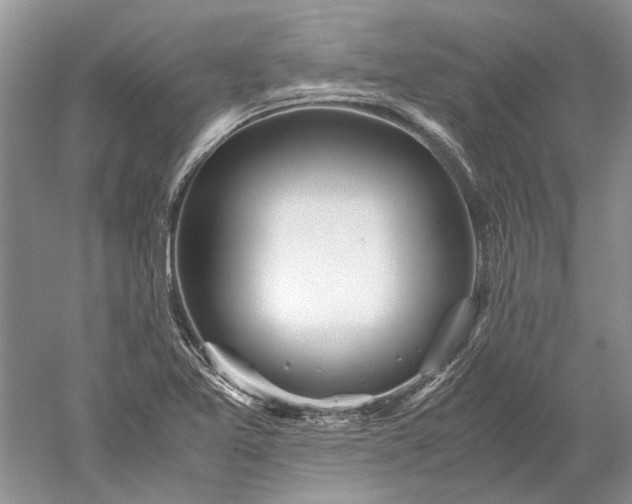 X0000052561365200507152215