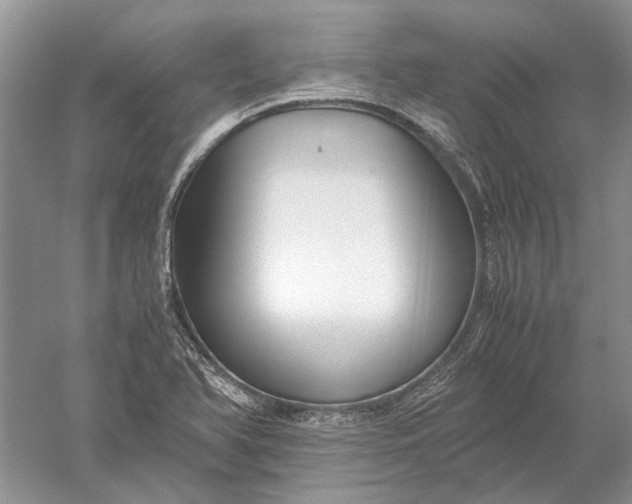 X0000052561366200507152215
