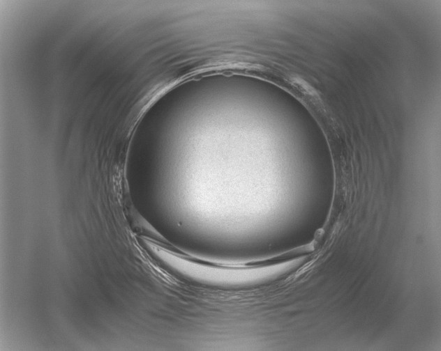 X0000052561369200507152215