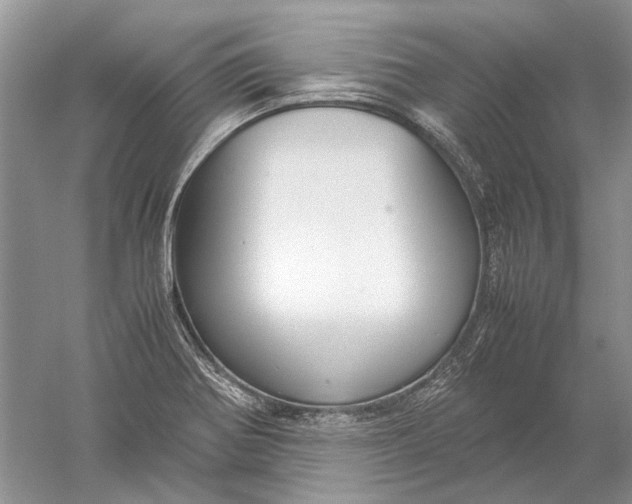 X0000052561370200507152215
