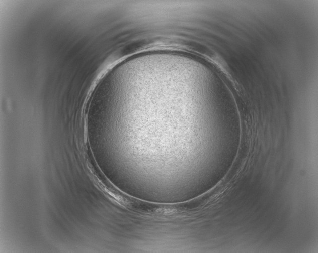 X0000052561371200507152215