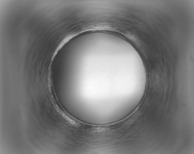 X0000052561374200507152215