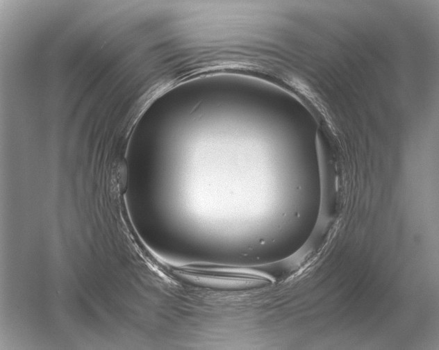 X0000052561377200507152215