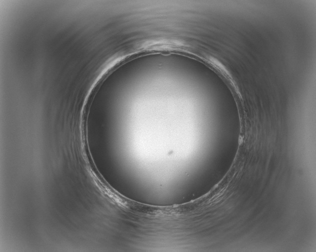 X0000052561384200507152214
