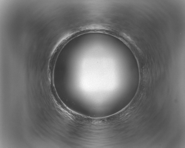 X0000052561408200507152214
