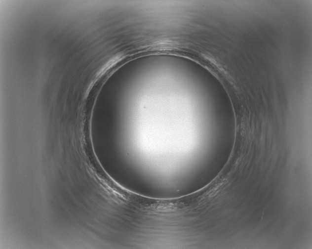 X0000052561410200507152214