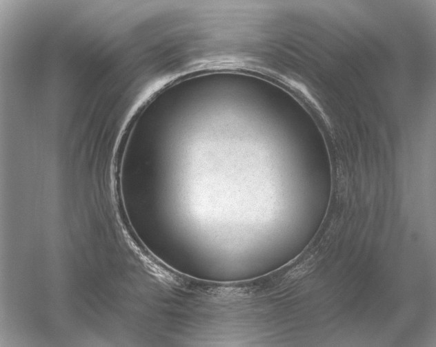 X0000052561424200507152214