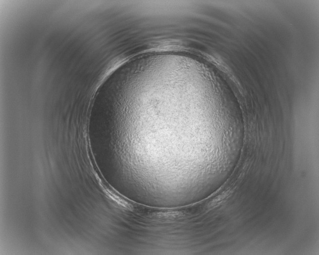 X0000052561425200507152214