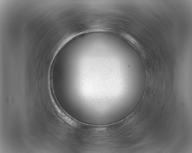X0000052561431200507152214
