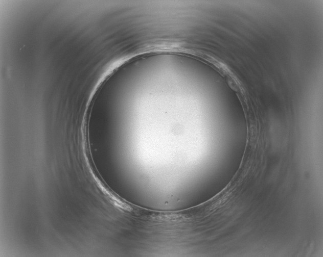 X0000052561432200507152214