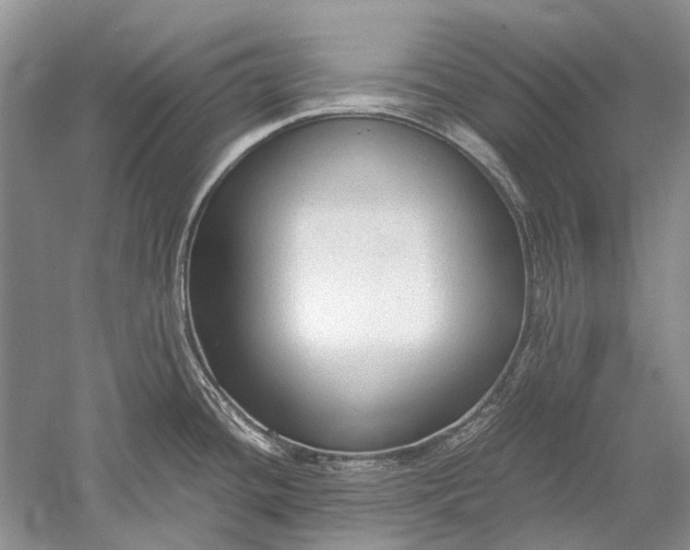 X0000052561436200507152214