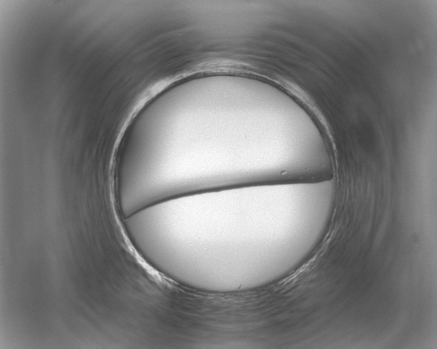 X0000052561437200507152214