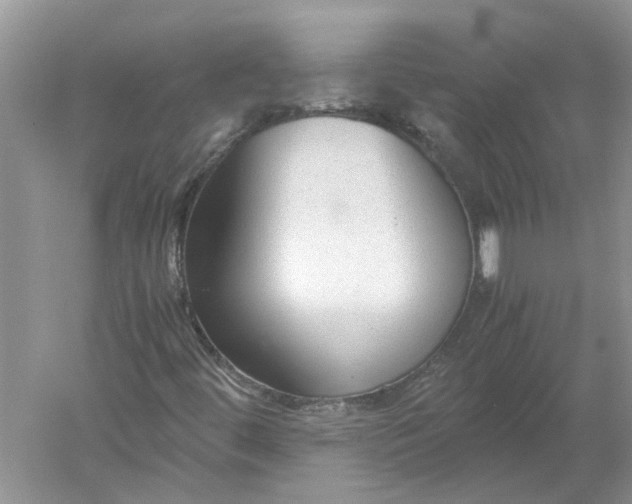 X0000052561444200507152213