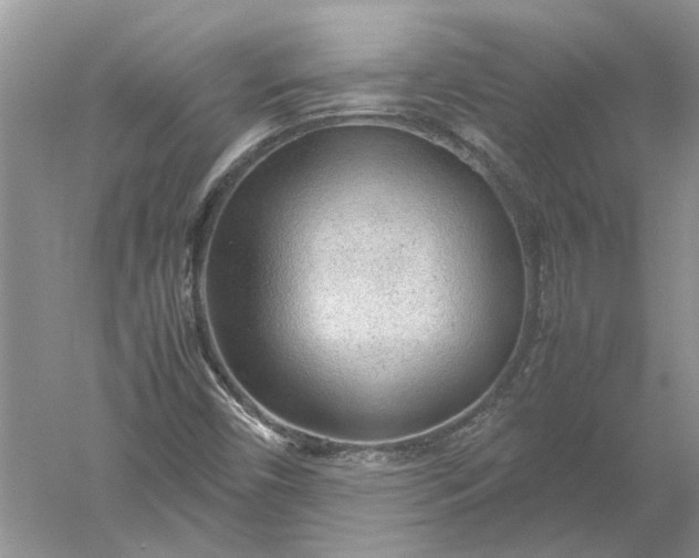 X0000052561450200507152213