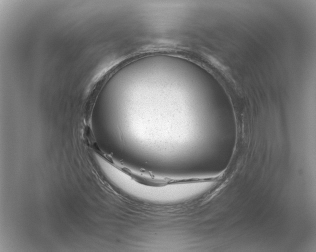 X0000052561453200507152213