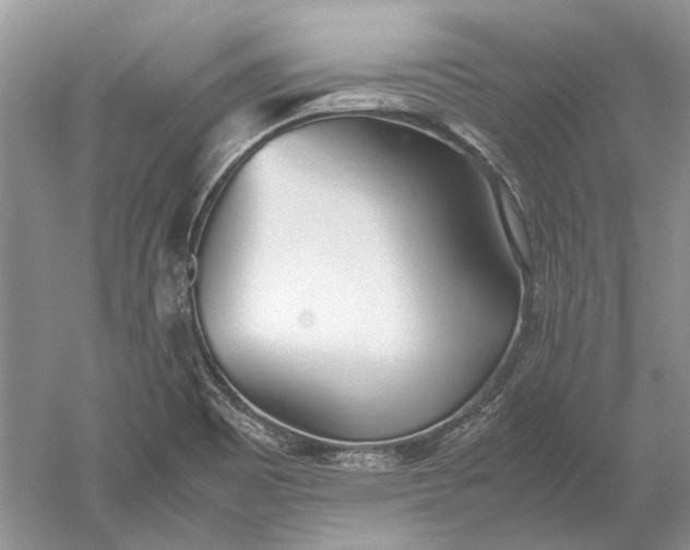 X0000052561465200507152213