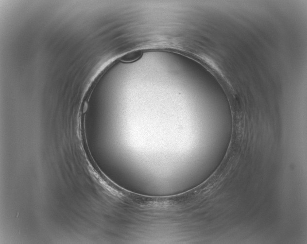 X0000052561468200507152213