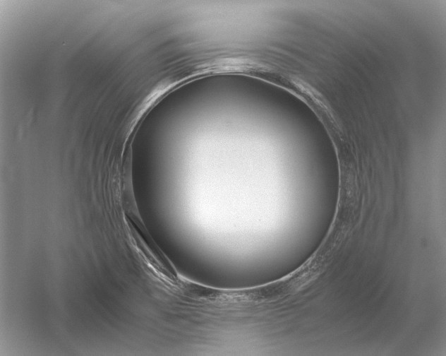 X0000052561473200507152213
