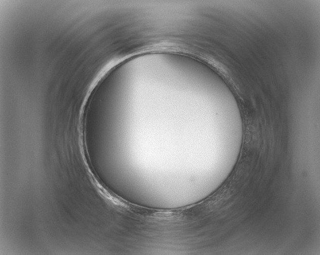 X0000052561478200507152213