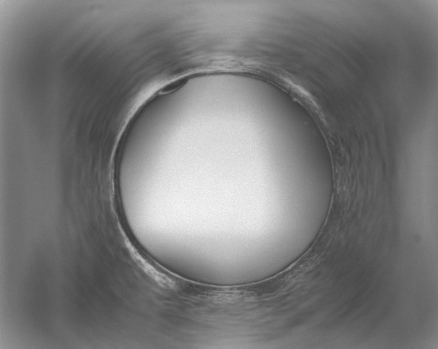 X0000052561479200507152213