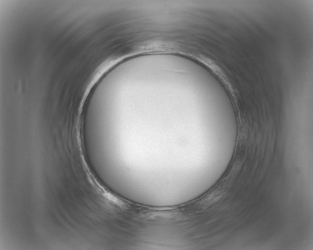 X0000052561486200507152213