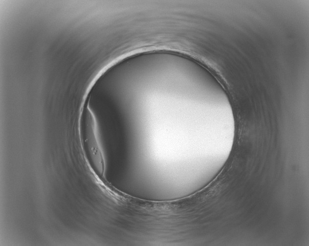 X0000052561516200507152212