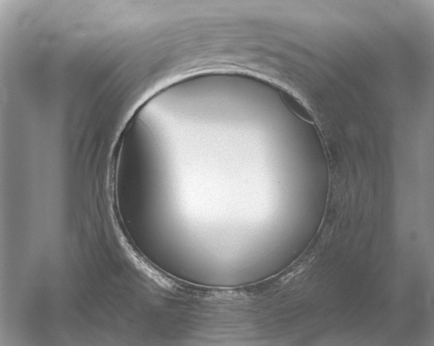 X0000052561526200507152212