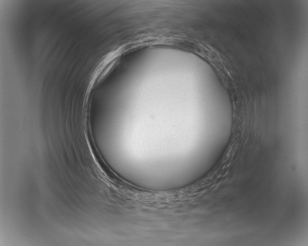 X0000052560003200507221448
