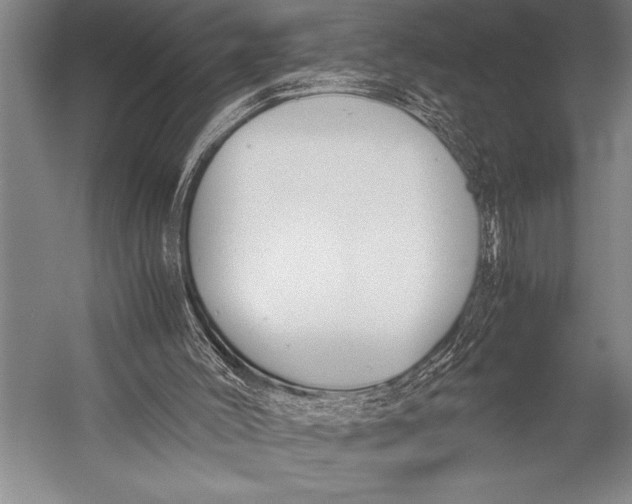 X0000052560004200507221448