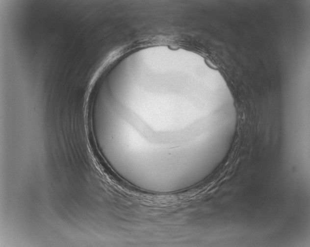 X0000052560006200507221448