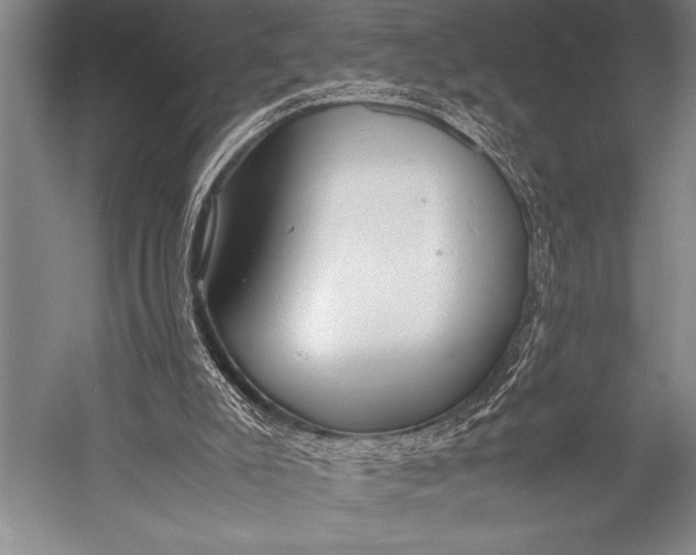 X0000052560007200507221448