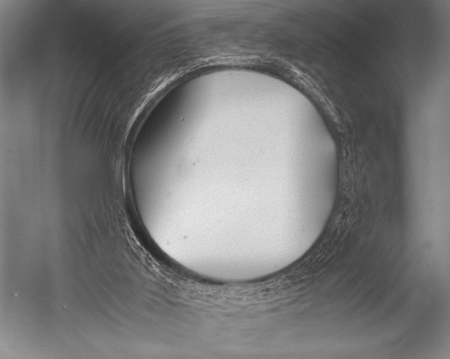 X0000052560011200507221448