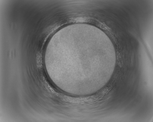 X0000052560012200507221448