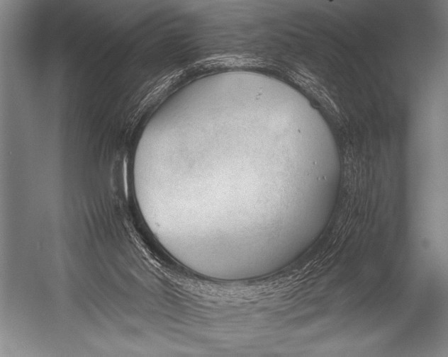 X0000052560014200507221448