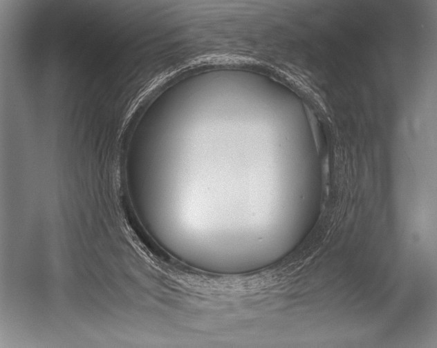 X0000052560015200507221448