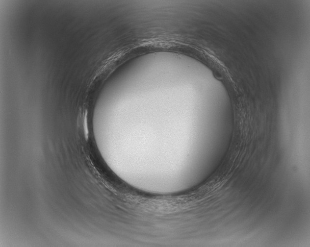 X0000052560020200507221448