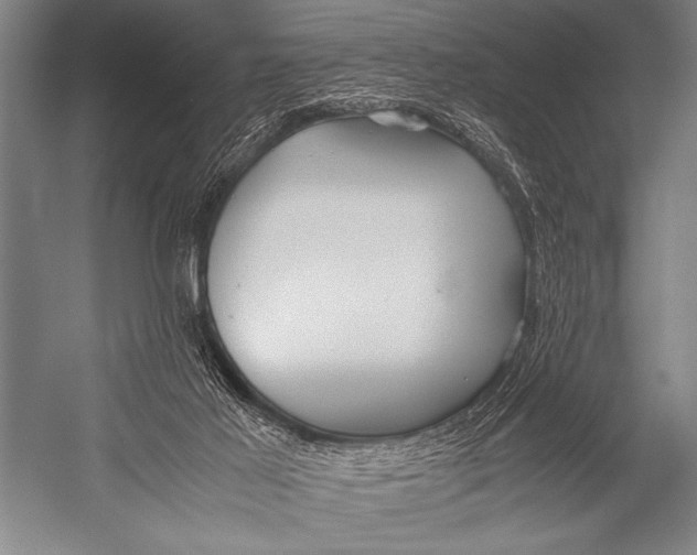 X0000052560021200507221448