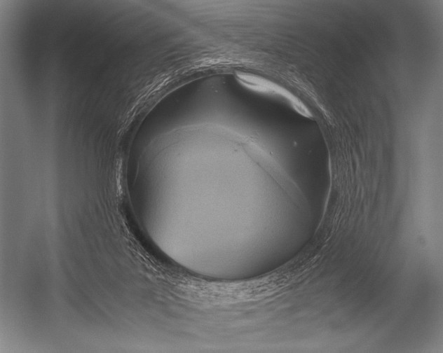 X0000052560023200507221447