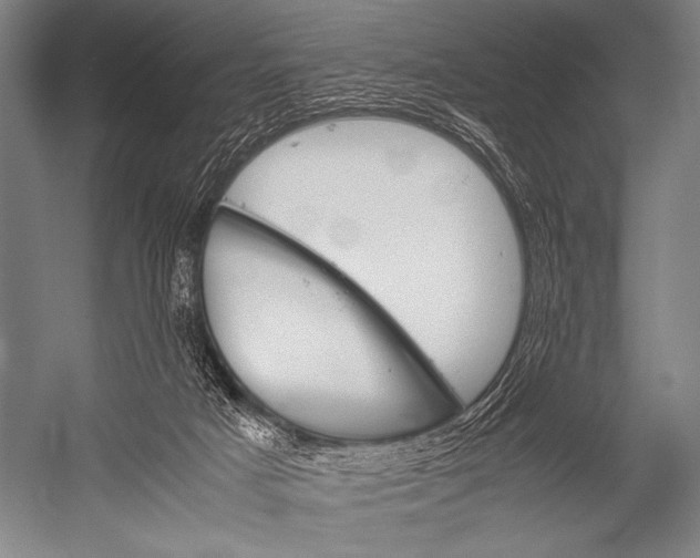 X0000052560025200507221447