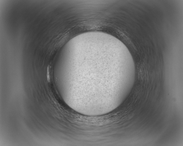 X0000052560026200507221447