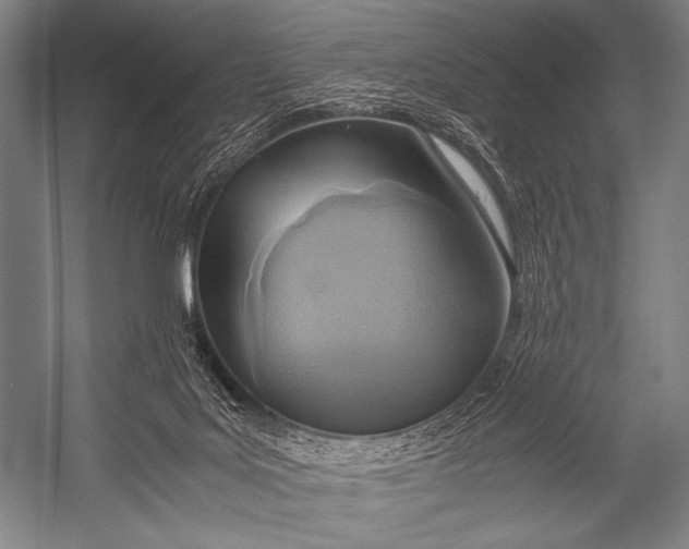 X0000052560027200507221447