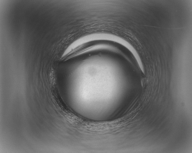 X0000052560029200507221447