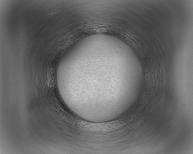 X0000052560030200507221447