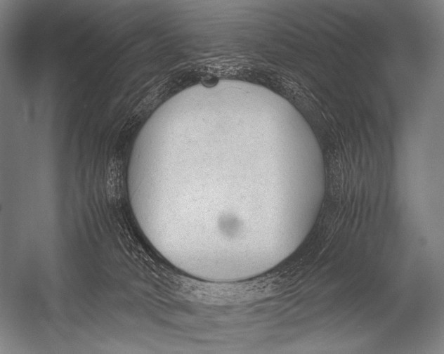 X0000052560034200507221447