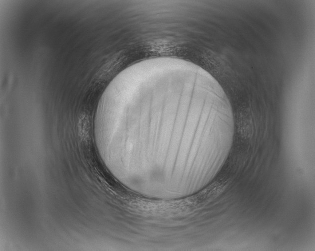 X0000052560036200507221447