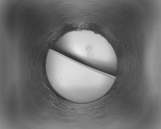 X0000052560039200507221447