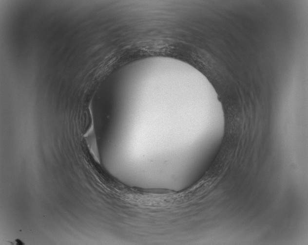 X0000052560040200507221447