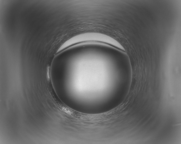 X0000052560041200507221447